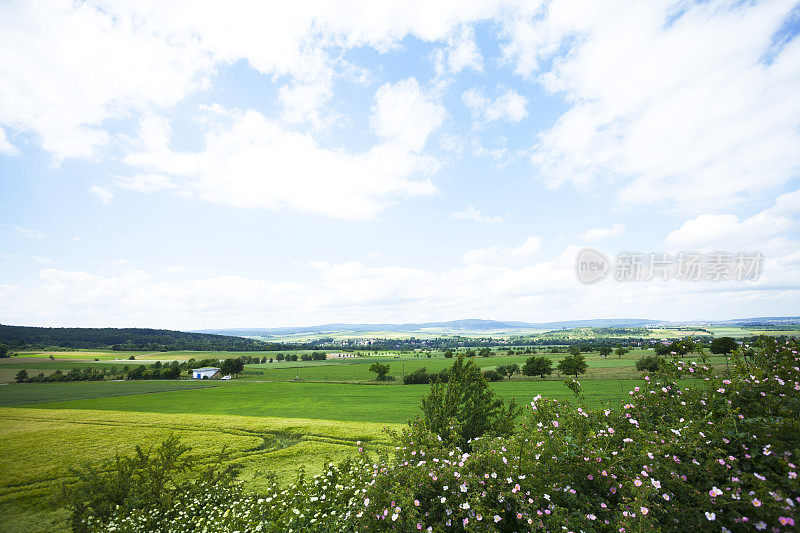 夏天的陶努斯郊区