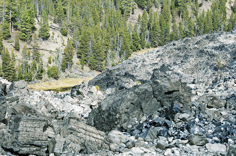 俄勒冈州中部古熔岩流中的黑曜石