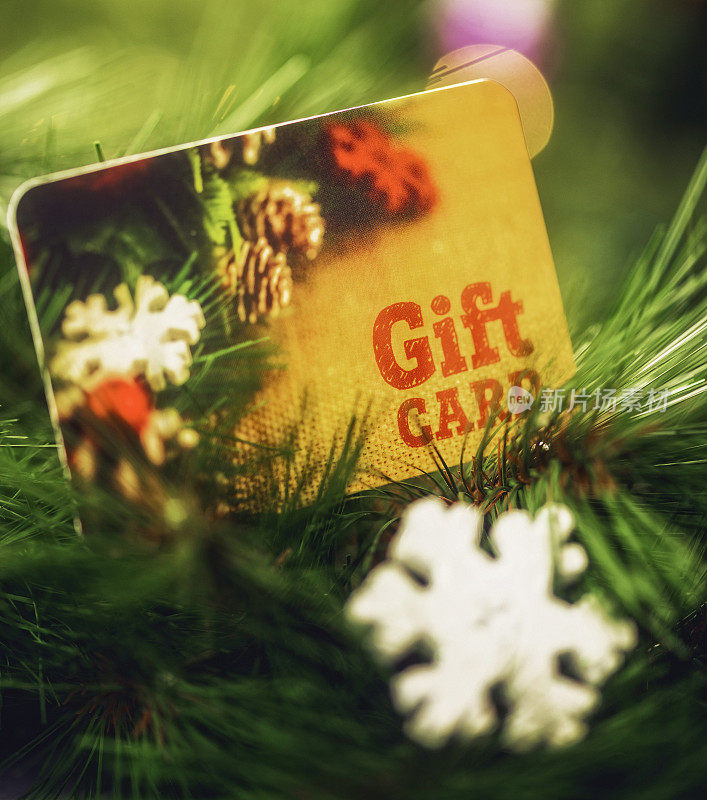 圣诞礼品卡依偎在圣诞树枝间