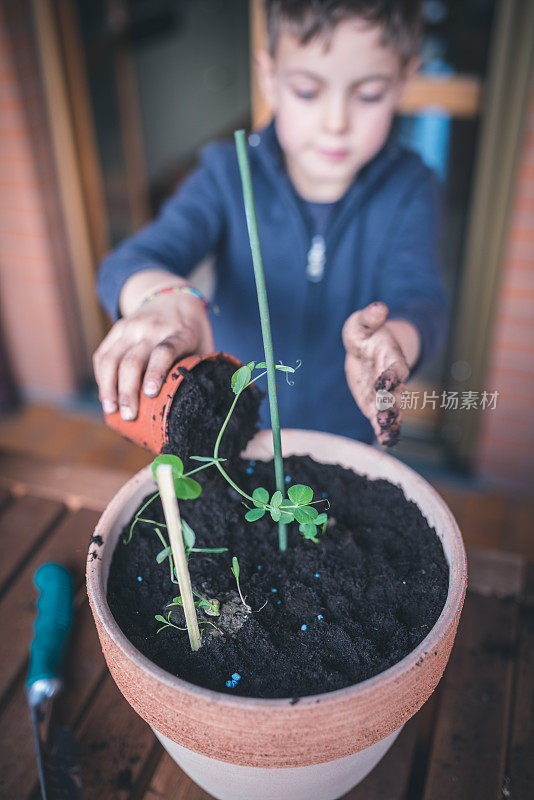 孩子照顾植物