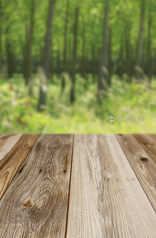 古松野餐桌，天然木纹纹理。理想的位置上的产品和放置在前景的任何形象。有选择性的重点。非常浅的景深的软背景。春天的背景是绿草和森林。