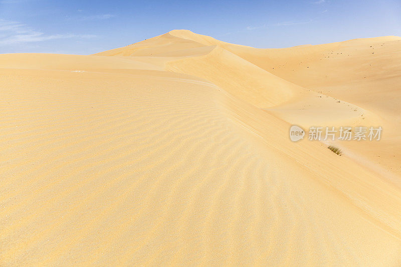 阿布扎比里瓦沙漠的沙丘