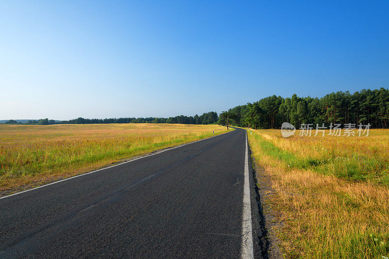 夏日日落的乡间小路，森林和草地