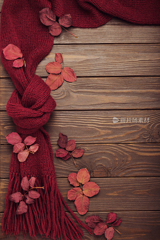 编织围巾的紫红色与秋天的叶子在一个黑暗的木制背景。
