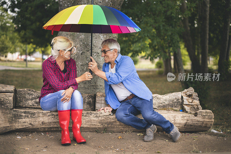 两人撑着伞在秋天的雨天