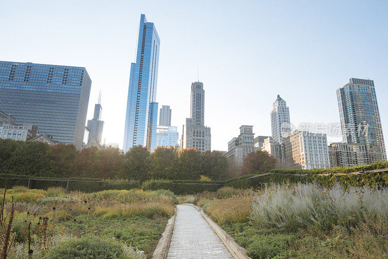 芝加哥市区伊利诺斯州的建筑物在密歇根湖黄昏