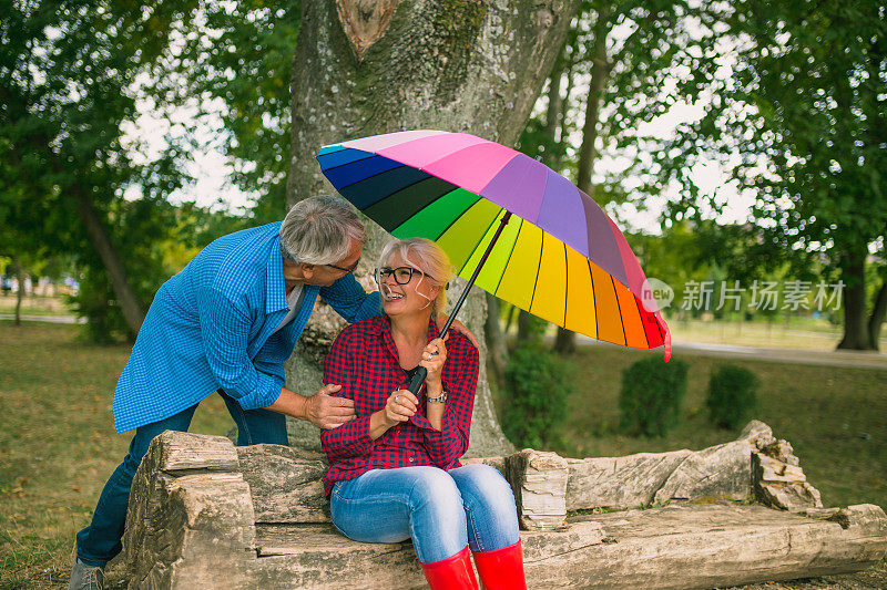雨中打着伞的老夫妇