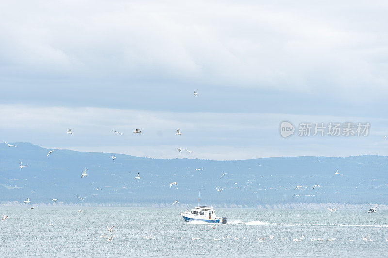 阿拉斯加海景