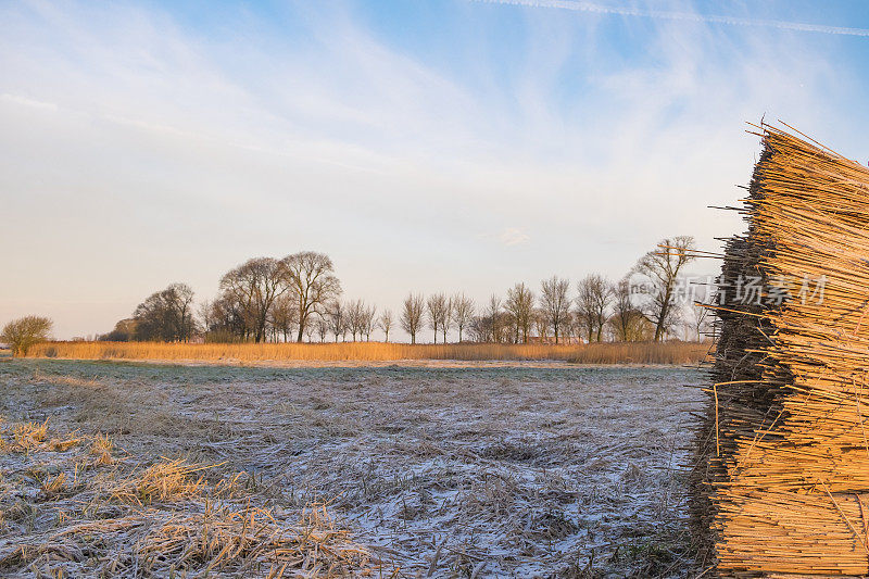 坎彭附近的伊塞勒三角洲地区的Zwartendijk上空的冬季日出