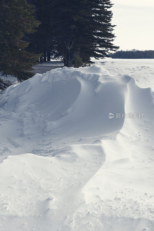 雪桩