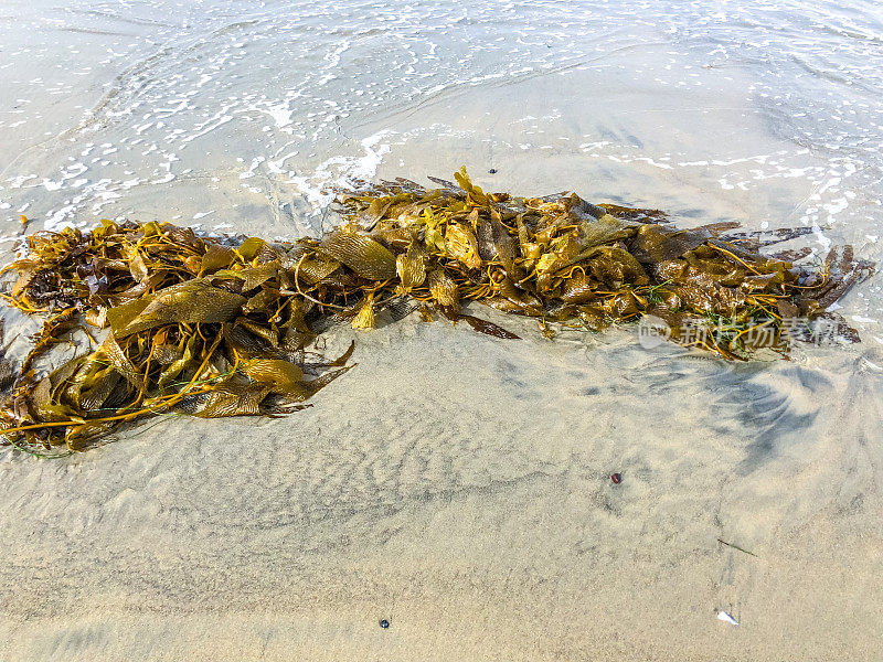 沙子和海洋特写，拉霍亚海滩，加州，美国