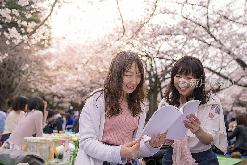 年轻女子在花见会读书