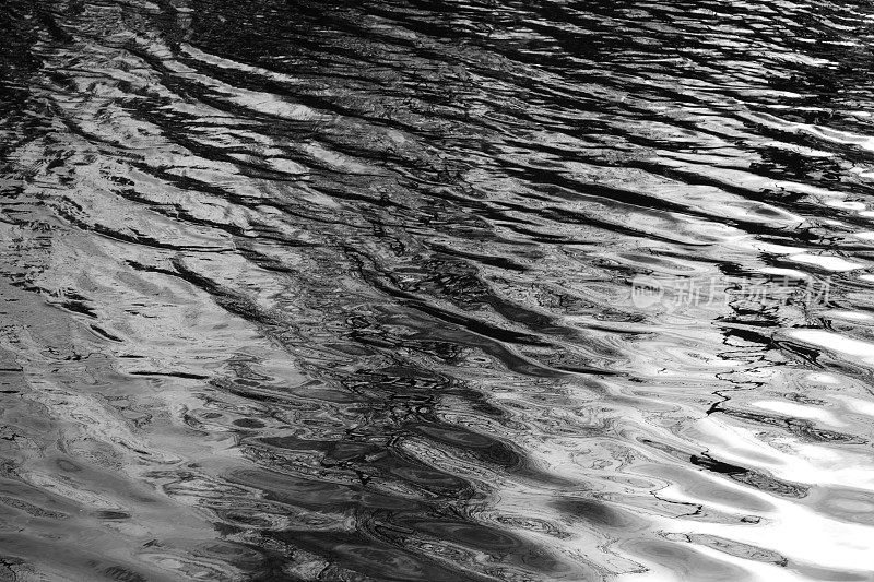池塘里的黑白反射波