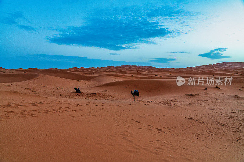 沙丘在撒哈拉沙漠-摩洛哥