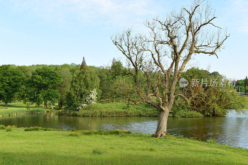 英国的风景