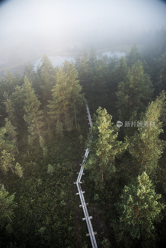 沼泽中的徒步旅行路线