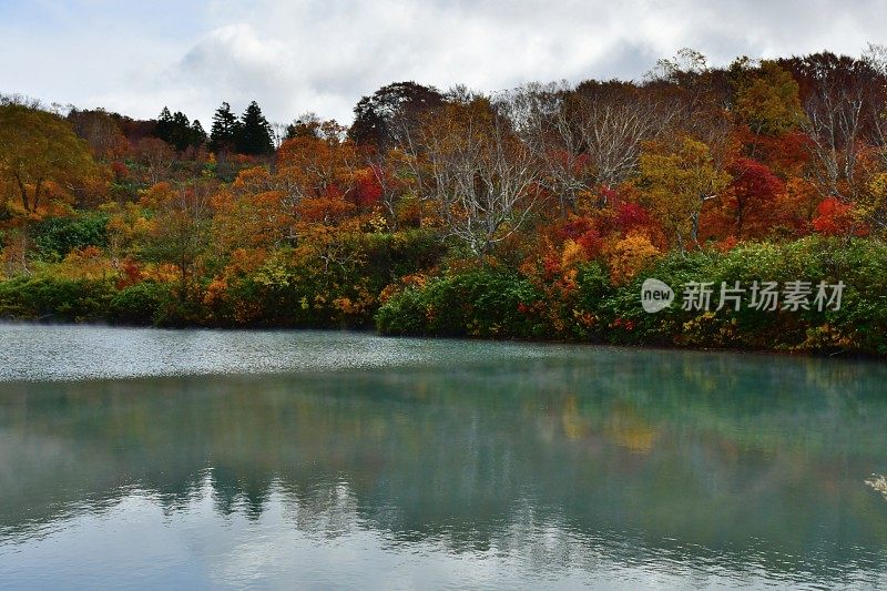 日本东北部的秋天:地狱沼泽，青森