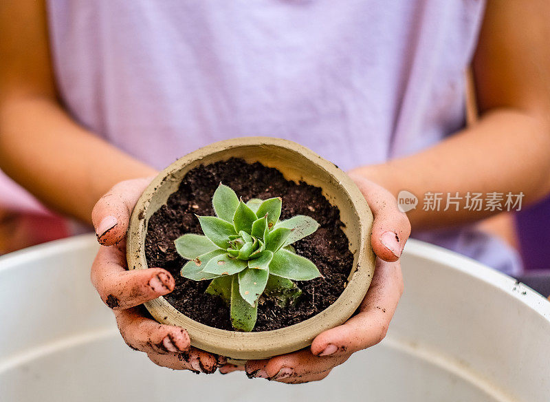 靠近女孩的手拿着一株小植物