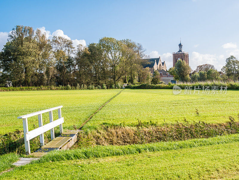 带有牧场和Workum大教堂的圩田景观，荷兰弗里斯兰