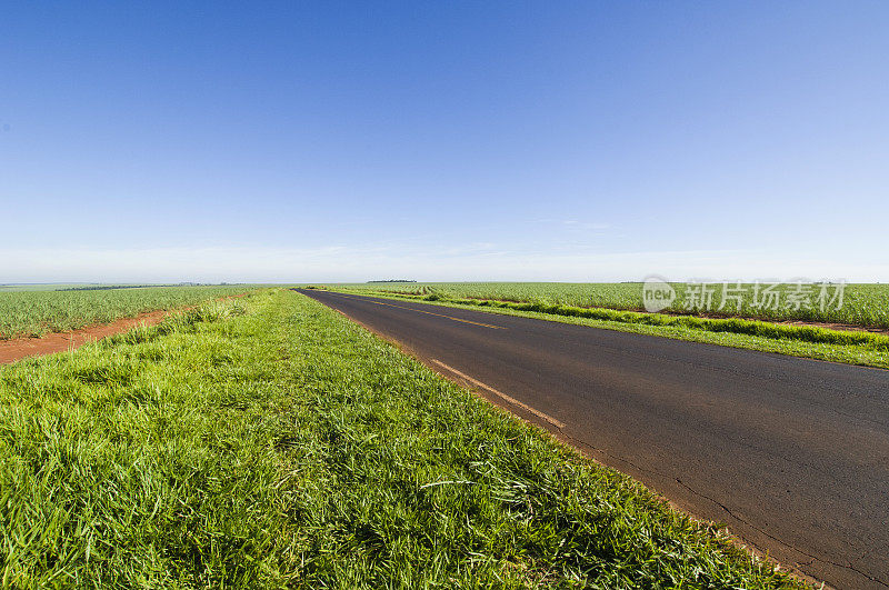 巴西的单车道公路