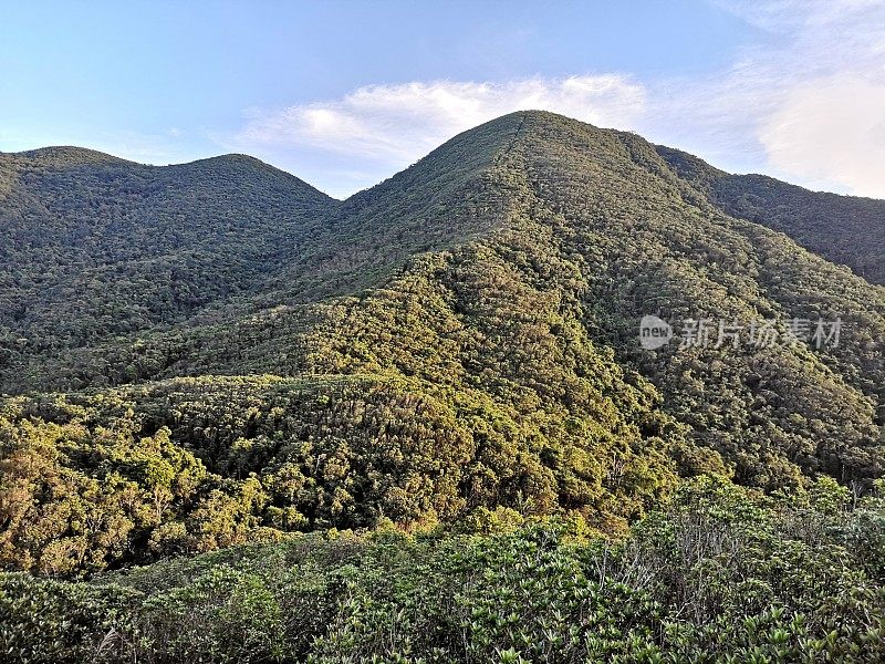 香港岛的青山