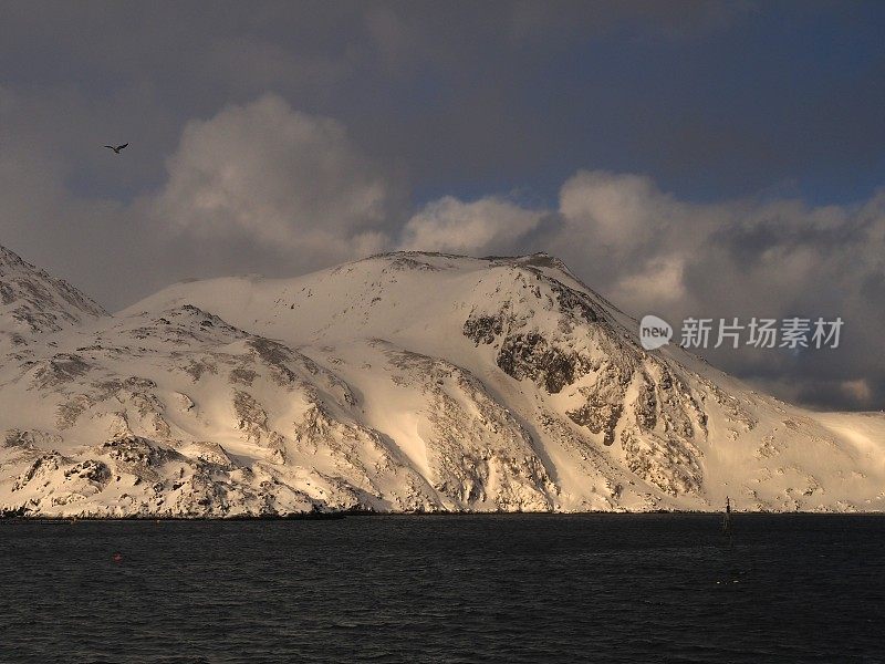 白雪皑皑的山峰，海鸥在里斯峡湾飞翔