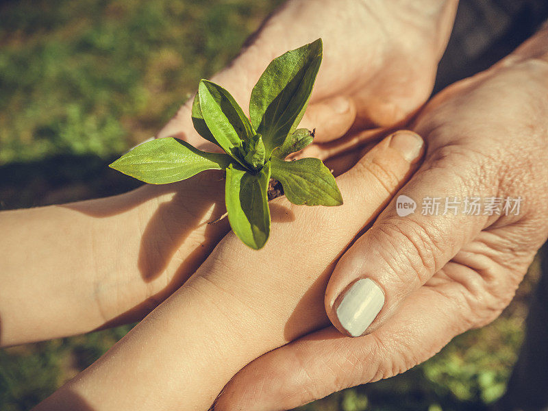 在植树节一起植树