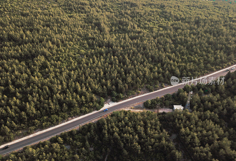 森林中的公路鸟瞰图