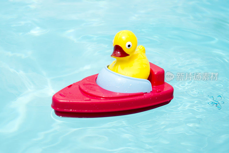 玩具鸭子驾驶着浮在水池中的船