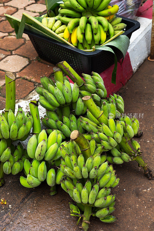 许多泰国香蕉