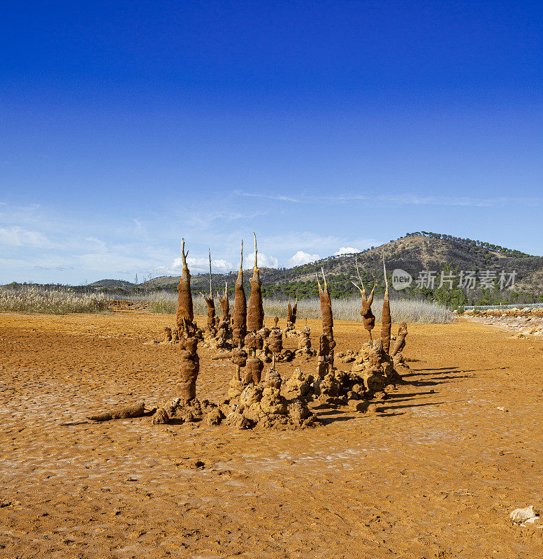 Gossan水库-有毒废物，奇妙的晶体形成，建立在以前的树木周围，Huelva