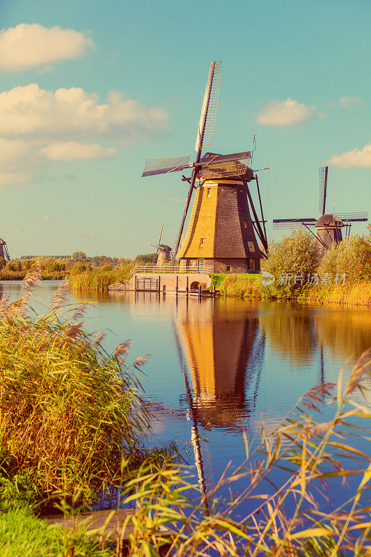 风车在Kinderdijk