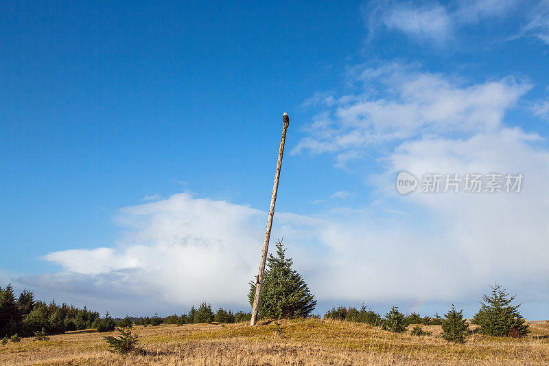 北海滩,Masset