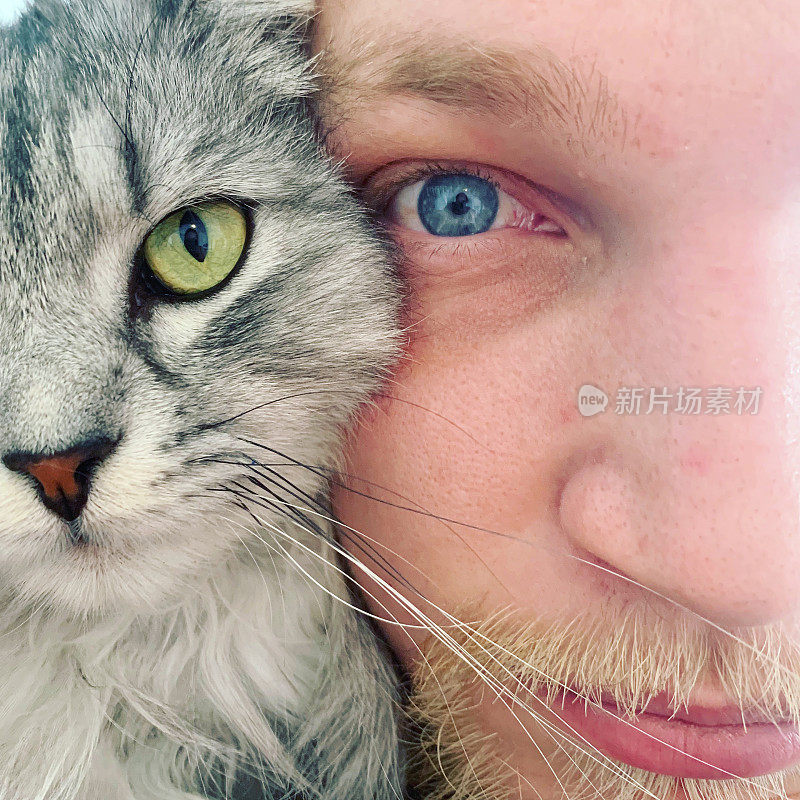 一个蓝眼睛的男人和家猫看着照相机的肖像