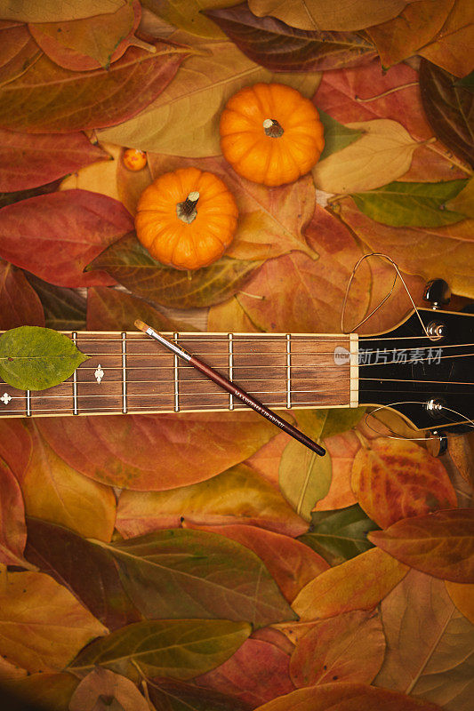 秋叶伴着音乐的季节