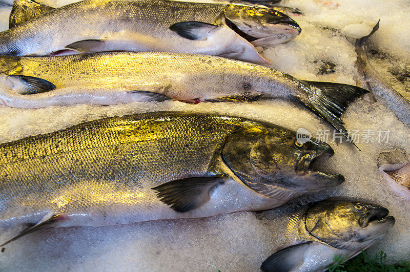 华盛顿州西雅图派克市场上的鱼
