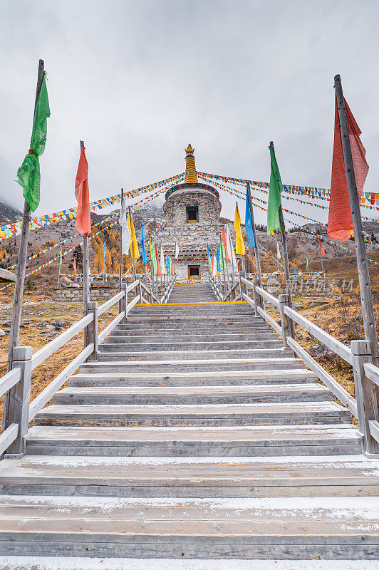 森林和树木景观纹理背景，色彩斑斓的自然景观风景亚丁，香格里拉，中国，西藏山区的秋天