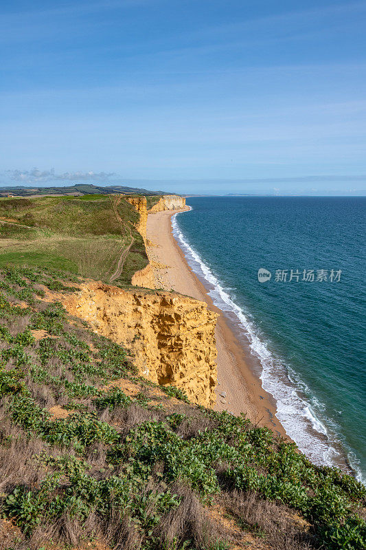 多塞特西湾的侏罗纪海岸