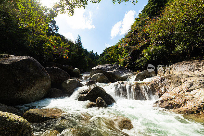 原始山林小溪