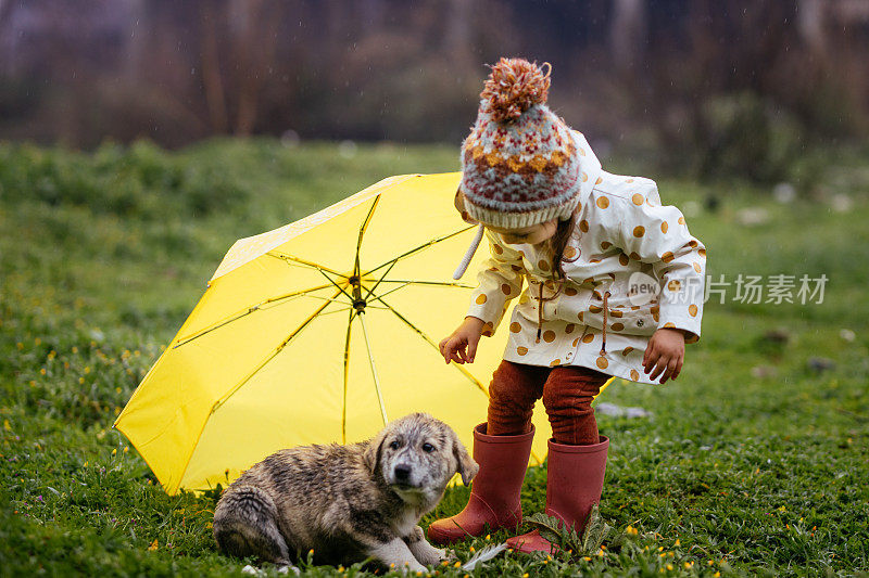 小女孩在雨天给小狗送伞