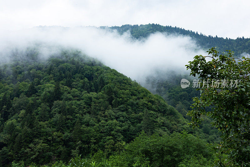 艾德高原山区多云天气