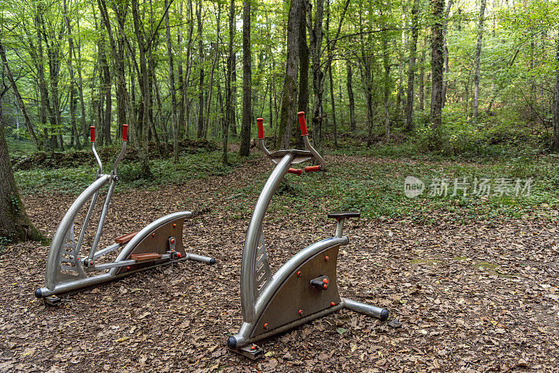 在森林中锻炼自行车和椭圆自行车。