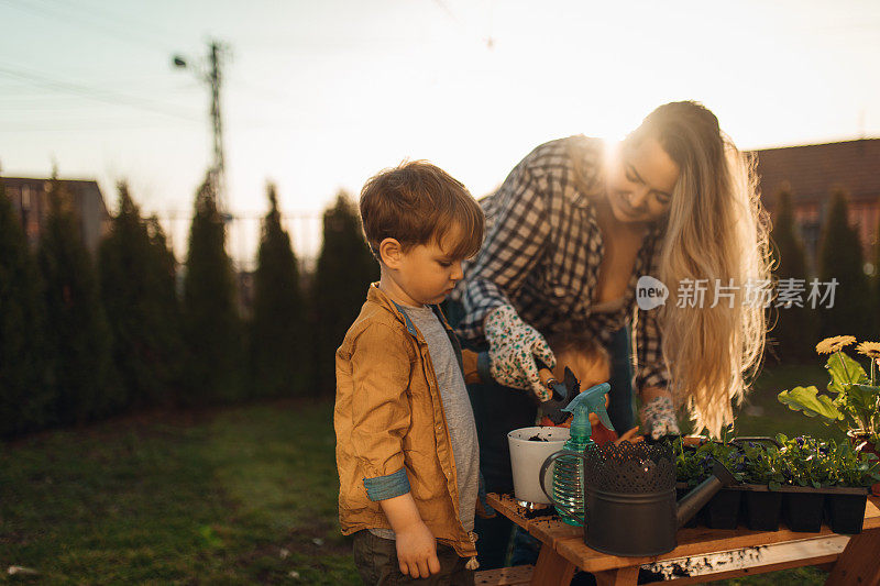 年轻的母亲和她的孩子们一起在花园里种花