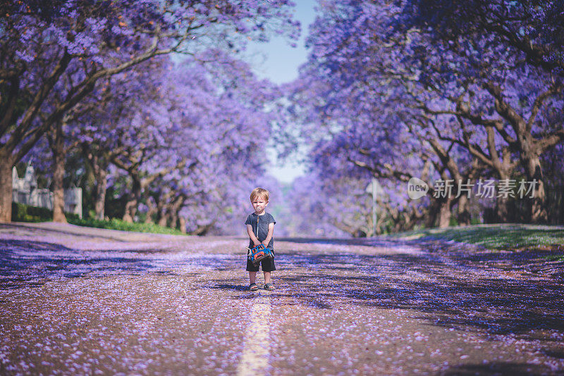 一个蹒跚学步的小孩站在空荡荡的满是紫色花朵的街道上，嘴里叼着他的蓝色汽车