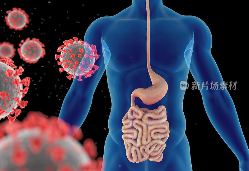 冠状病毒、病毒性肺炎或流感病毒感染的3D插图