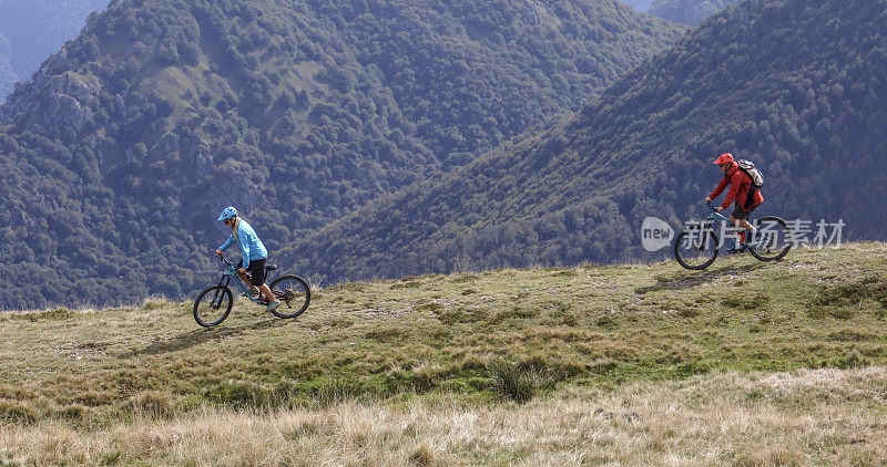 山地自行车手沿着长满草的山脊行进