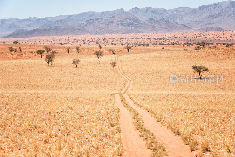 穿越纳米比亚纳米布兰德自然保护区沙丘的越野轨道