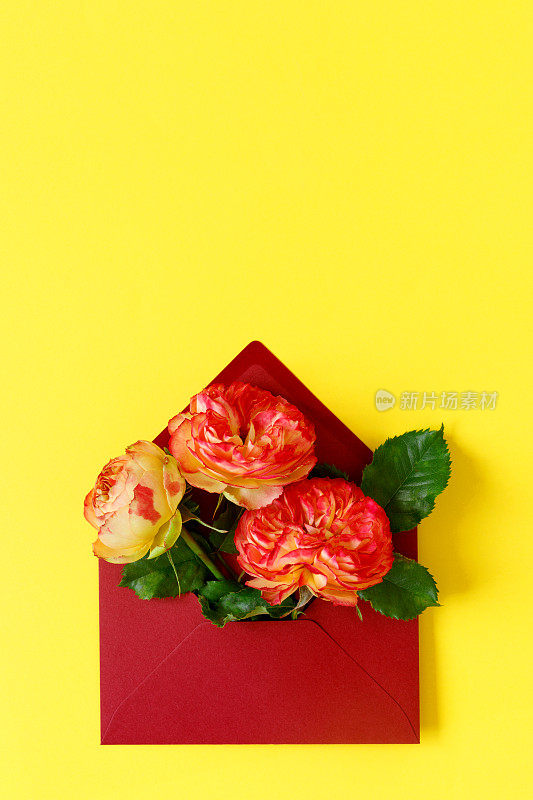 母亲节或生日的贺卡，有红色信封和粉红色的玫瑰。创意设计与文本复制空间。