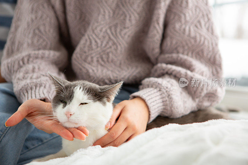 和家里的猫在一起