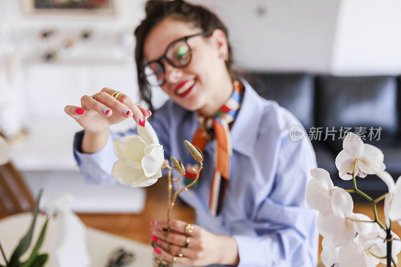 家庭主妇照料着家里的花草，五颜六色的蝴蝶兰。照顾家庭植物的女人。捧着白花的园丁